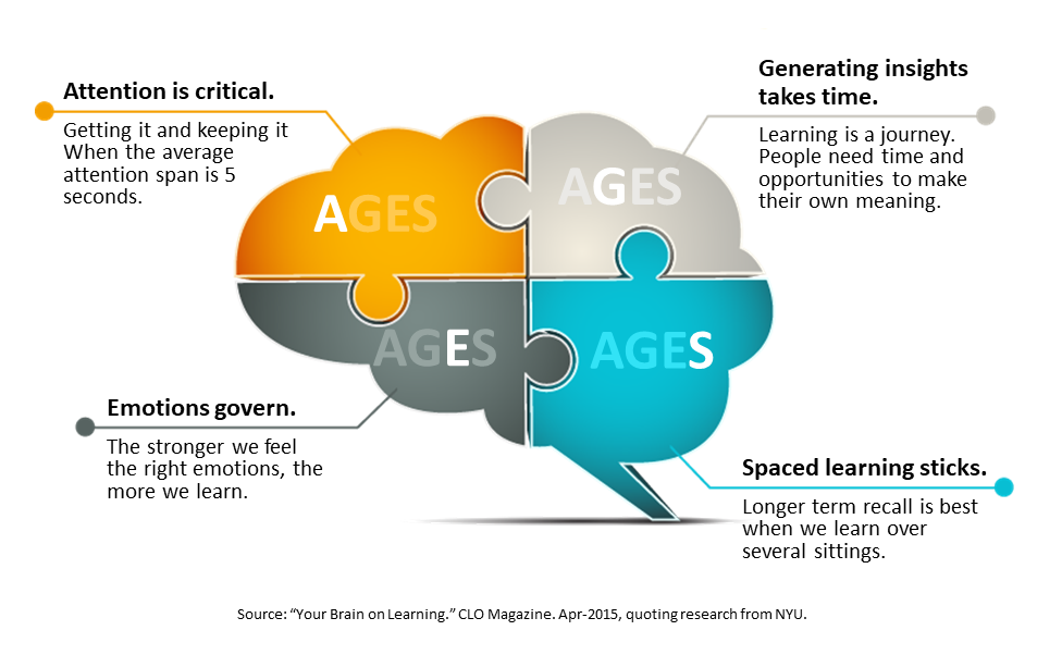 AGES Model for Workplace Learning Infographic